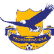 托罗德海姆斯女足logo