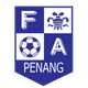 NTFA槟榔嶼logo