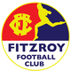 菲茨罗伊logo