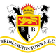 布里德林城logo