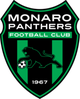 莫纳洛黑豹B队logo