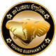 小象FCB队logo