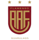 弗拉门戈瓜鲁霍斯青年队logo
