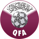 卡塔尔女足logo